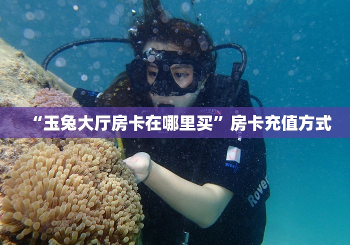 6秒盘点""微信牛牛房间百万牛房卡充值""哪里弄房卡怎么充值才优惠 6秒盘点""微信牛牛房间百万牛房卡充值""哪里弄房卡怎么充值才优惠