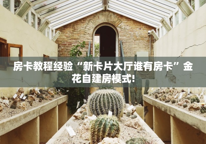 房卡教程经验“新卡片大厅谁有房卡”金花自建房模式!