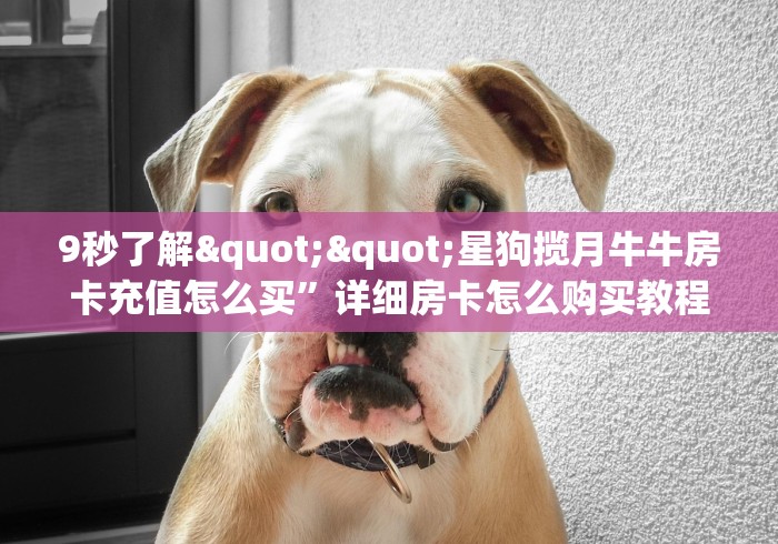 科普盘点“牛牛链接房卡去哪买”获取房卡教程