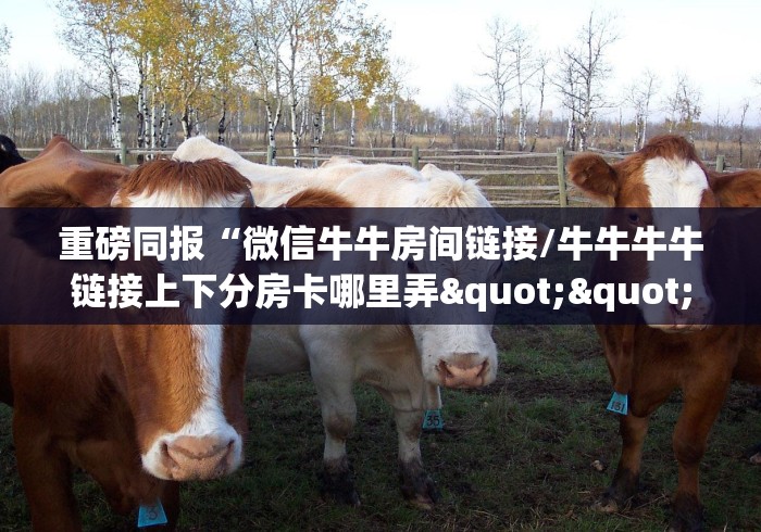 53秒了解分享"“九游联盟大厅怎么开房卡”详细房卡教程 53秒了解分享"“九游联盟大厅怎么开房卡”详细房卡教程