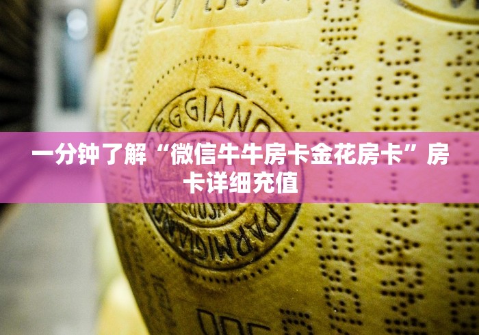 玩家必备教程“微信炸 金花链接房卡购买”详细房卡教程