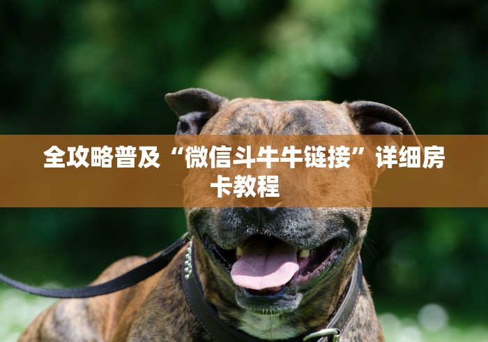 全攻略普及“微信斗牛牛链接”详细房卡教程