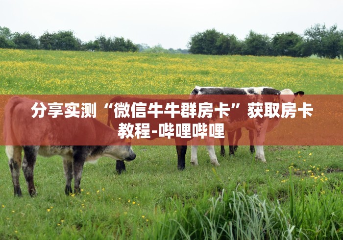 分享实测“微信牛牛群房卡”获取房卡教程-哔哩哔哩