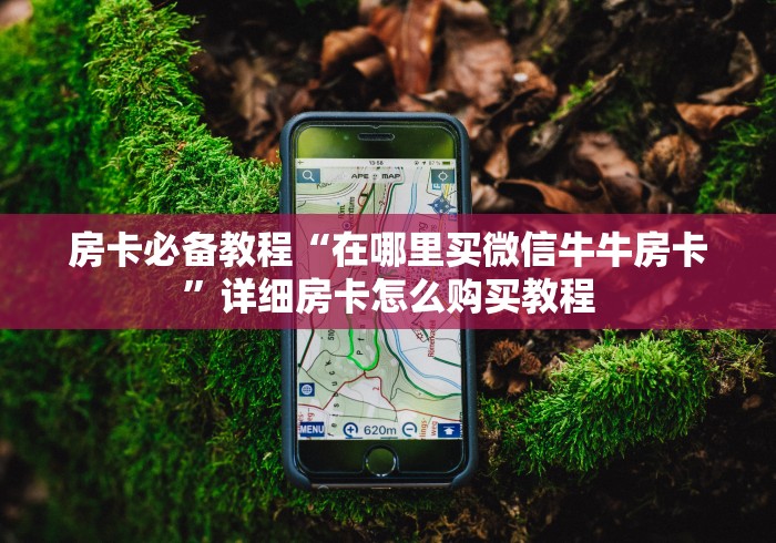 房卡必备教程“在哪里买微信牛牛房卡”详细房卡怎么购买教程 房卡必备教程“在哪里买微信牛牛房卡”详细房卡怎么购买教程