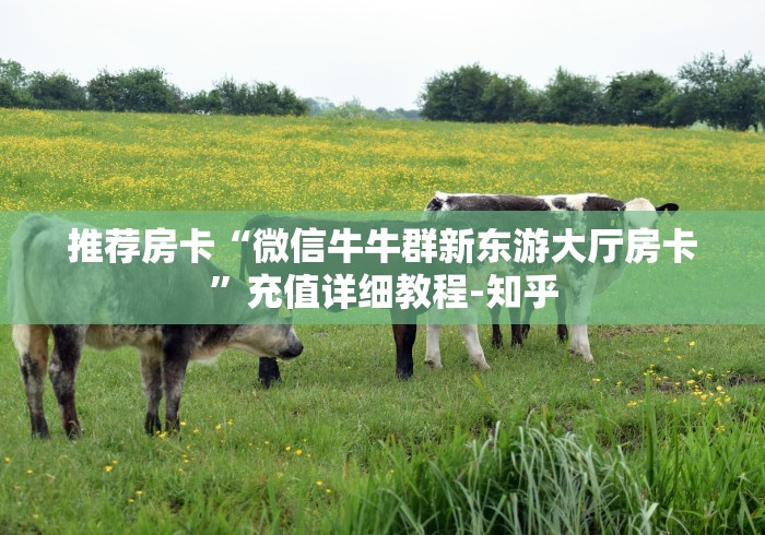 推荐房卡“微信牛牛群新东游大厅房卡”充值详细教程-知乎 推荐房卡“微信牛牛群新东游大厅房卡”充值详细教程-知乎