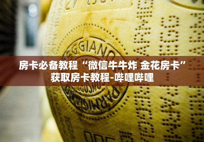 房卡必备教程“微信牛牛炸 金花房卡”获取房卡教程-哔哩哔哩