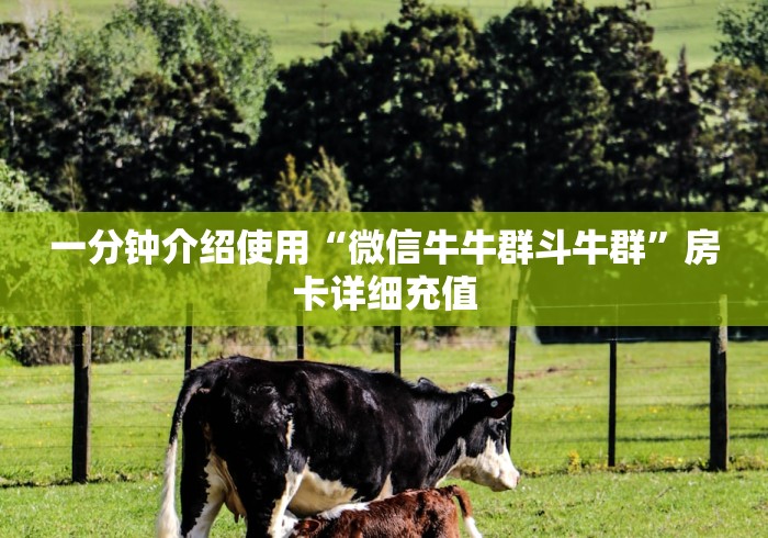 一分钟介绍使用“微信牛牛群斗牛群”房卡详细充值 一分钟介绍使用“微信牛牛群斗牛群”房卡详细充值