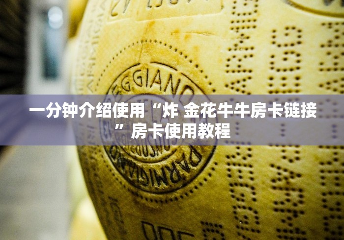 一分钟介绍使用“炸 金花牛牛房卡链接”房卡使用教程