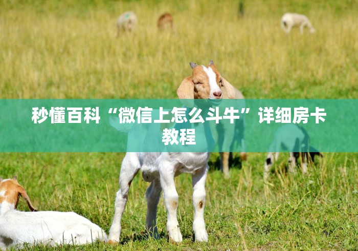 秒懂百科“微信上怎么斗牛”详细房卡教程