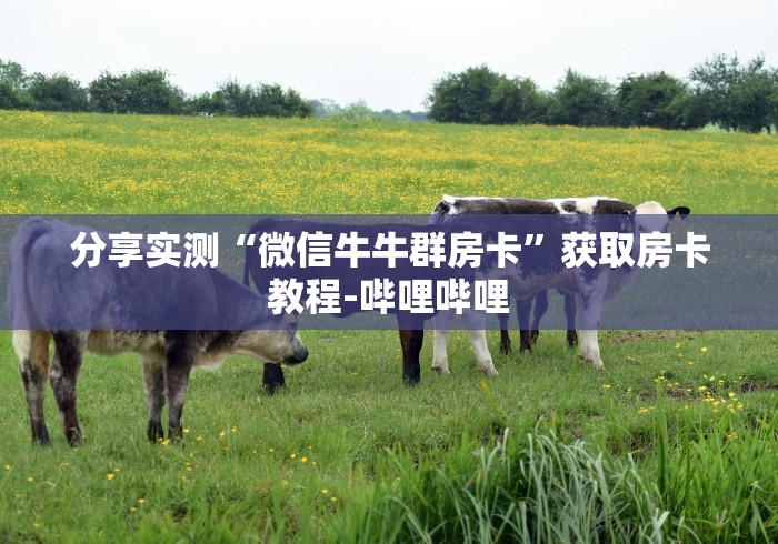分享实测“微信牛牛群房卡”获取房卡教程-哔哩哔哩