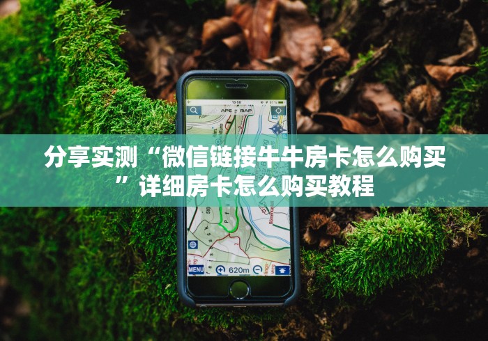 分享实测“微信链接牛牛房卡怎么购买”详细房卡怎么购买教程 分享实测“微信链接牛牛房卡怎么购买”详细房卡怎么购买教程