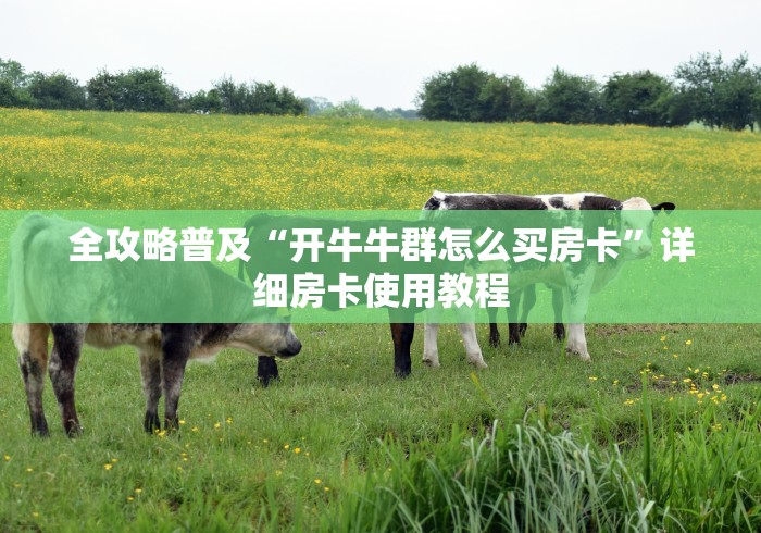 分享实测“新道游牛牛客服怎么联系”详细房卡教程