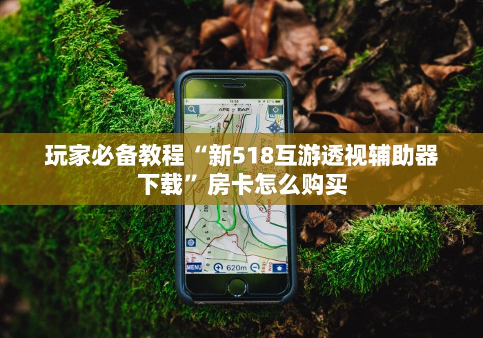 玩家必备教程“新518互游透视辅助器下载”房卡怎么购买