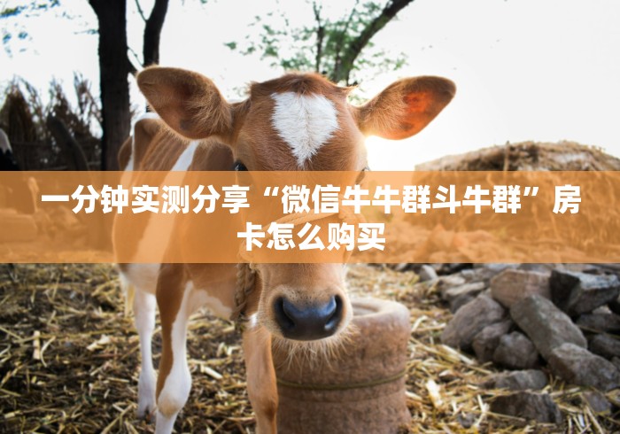 一分钟实测分享“微信牛牛群斗牛群”房卡怎么购买 一分钟实测分享“微信牛牛群斗牛群”房卡怎么购买