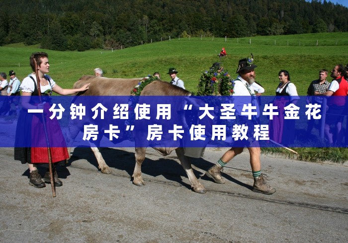 玩家攻略“皇豪互娱官方网站”详细房卡教程