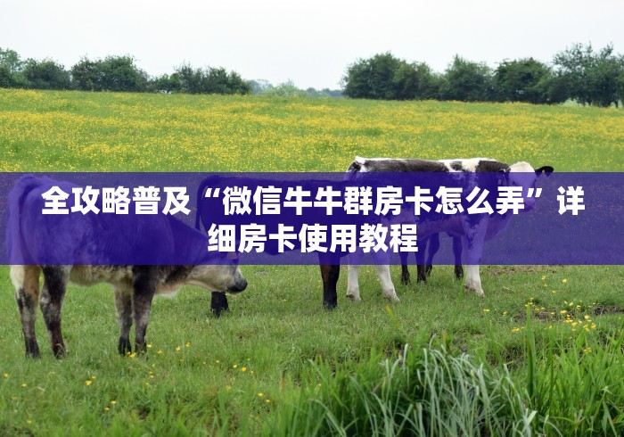 玩 家 必 备 教 程 “ 新 天 道 牛 牛 金 花 房 卡 ” 购 买 房 卡 介 绍	