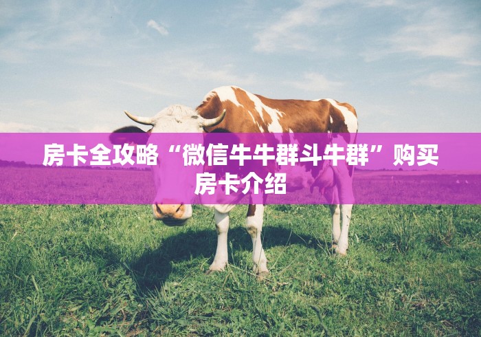 房卡全攻略“微信牛牛群斗牛群”购买房卡介绍