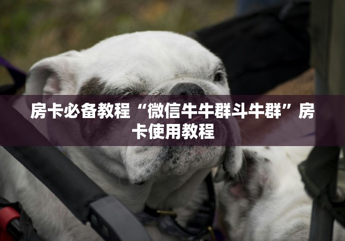 房卡必备教程“微信牛牛群斗牛群”房卡使用教程