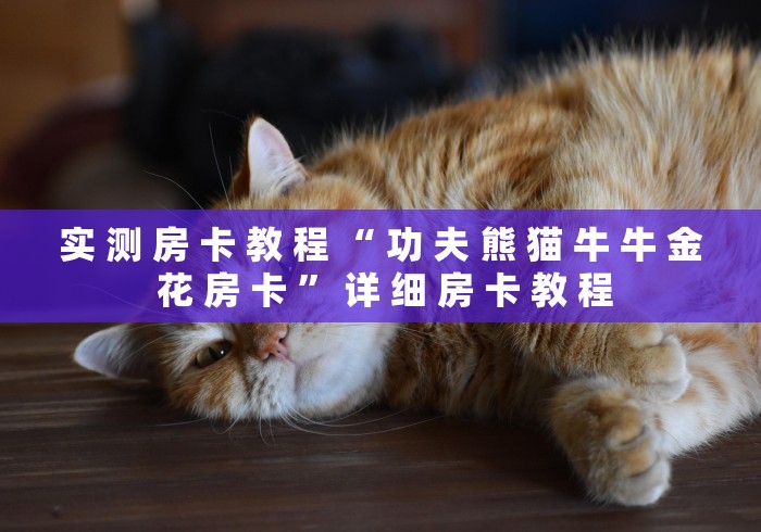实 测 房 卡 教 程 “ 功 夫 熊 猫 牛 牛 金 花 房 卡 ” 详 细 房 卡 教 程	