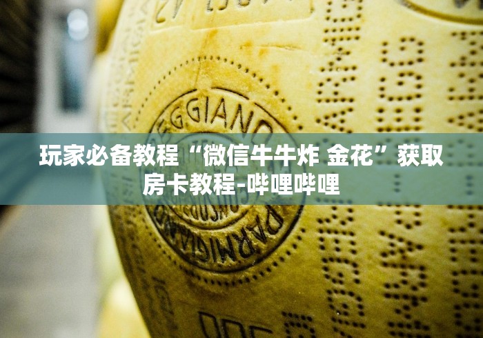 玩家必备教程“微信牛牛炸 金花”获取房卡教程-哔哩哔哩