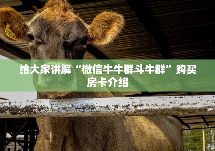 给大家讲解“微信牛牛群斗牛群”购买房卡介绍 给大家讲解“微信牛牛群斗牛群”购买房卡介绍