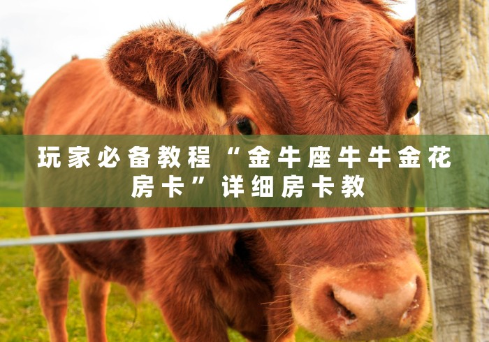 玩 家 必 备 教 程 “ 金 牛 座 牛 牛 金 花 房 卡 ” 详 细 房 卡 教	