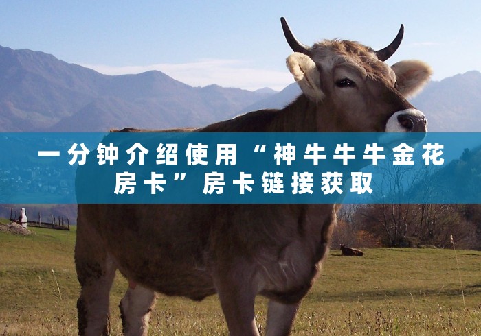 一 分 钟 介 绍 使 用 “ 神 牛 牛 牛 金 花 房 卡 ” 房 卡 链 接 获 取	
