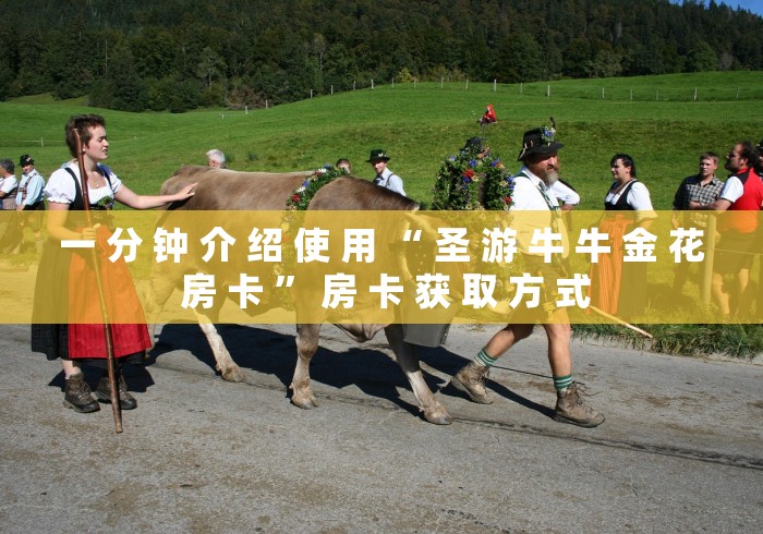 一 分 钟 介 绍 使 用 “ 圣 游 牛 牛 金 花 房 卡 ” 房 卡 获 取 方 式	