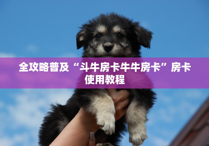 全攻略普及“斗牛房卡牛牛房卡”房卡使用教程