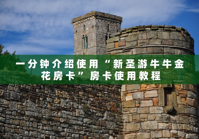 一 分 钟 介 绍 使 用 “ 新 圣 游 牛 牛 金 花 房 卡 ” 房 卡 使 用 教 程	