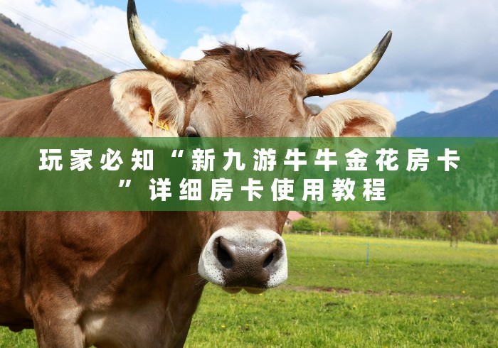 玩 家 必 知 “ 新 九 游 牛 牛 金 花 房 卡 ” 详 细 房 卡 使 用 教 程	
