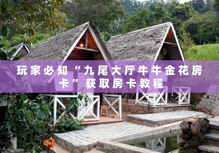 玩 家 必 知 “ 九 尾 大 厅 牛 牛 金 花 房 卡 ” 获 取 房 卡 教 程	