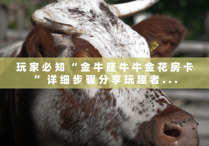 玩 家 必 知 “ 金 牛 座 牛 牛 金 花 房 卡 ” 详 细 步 骤 分 享 玩 趣 者 . . .	