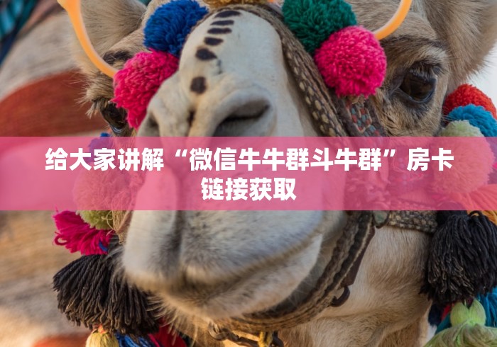 给大家讲解“微信牛牛群斗牛群”房卡链接获取