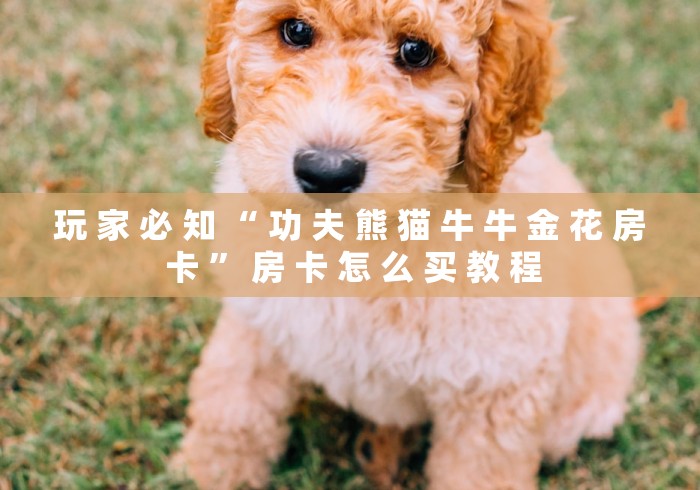 玩 家 必 知 “ 功 夫 熊 猫 牛 牛 金 花 房 卡 ” 房 卡 怎 么 买 教 程	