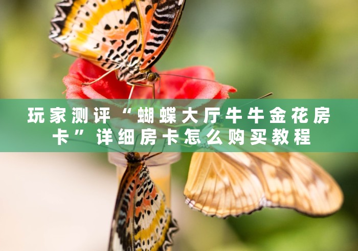 玩 家 测 评 “ 蝴 蝶 大 厅 牛 牛 金 花 房 卡 ” 详 细 房 卡 怎 么 购 买 教 程	