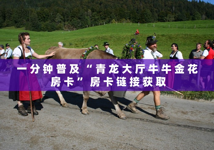 一 分 钟 普 及 “ 青 龙 大 厅 牛 牛 金 花 房 卡 ” 房 卡 链 接 获 取	