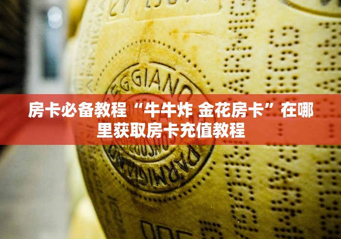 房卡必备教程“牛牛炸 金花房卡”在哪里获取房卡充值教程