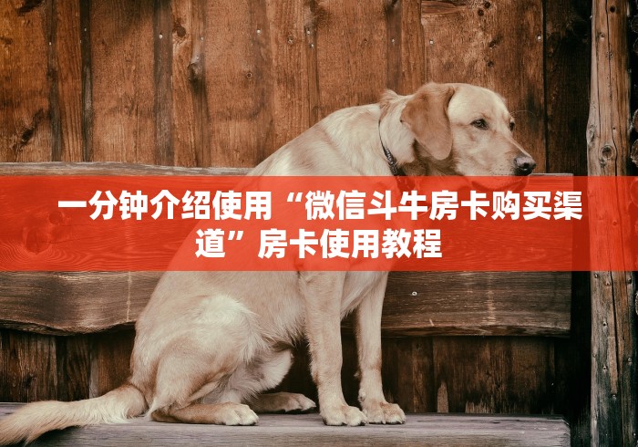 一分钟介绍使用“微信斗牛房卡购买渠道”房卡使用教程