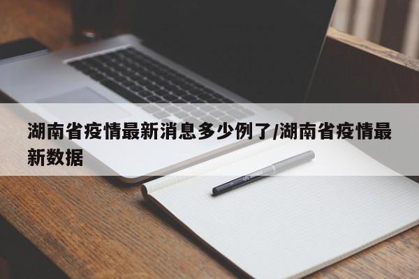 湖南省疫情最新消息多少例了/湖南省疫情最新数据